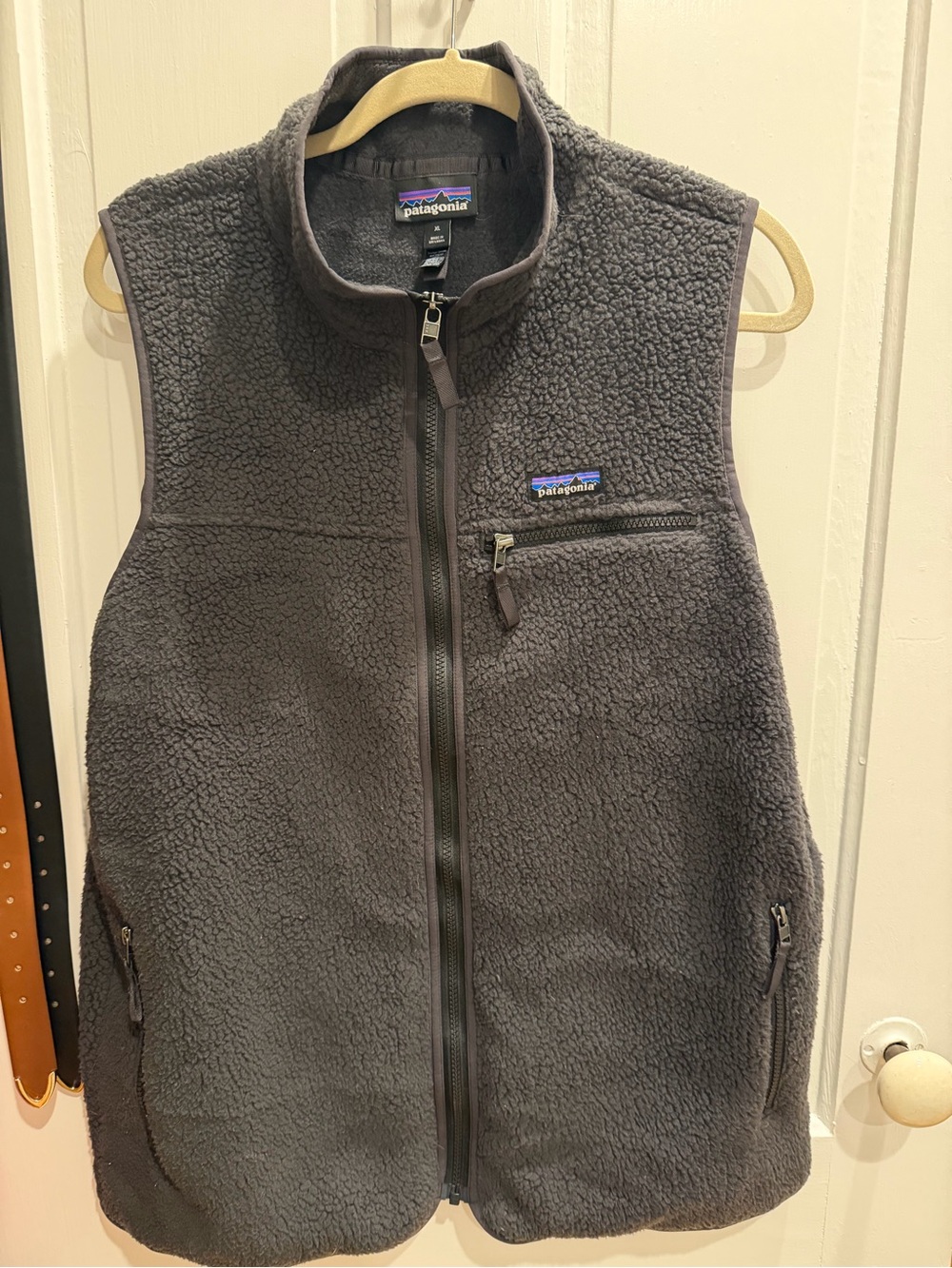 Patagonia Retro Pile Fleece Vest